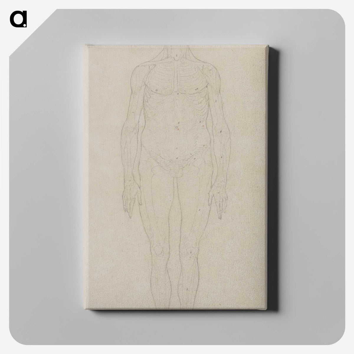 2-71_George-Stubbs_canvas