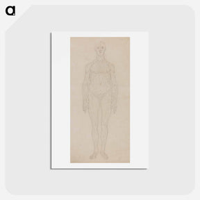 アートポストカード-Study of the Human Figure, Anterior View
 - ジョージ スタッブス Postcard.