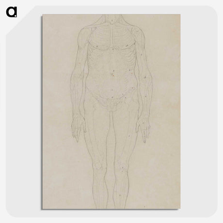 2-71_George-Stubbs_picture-crop