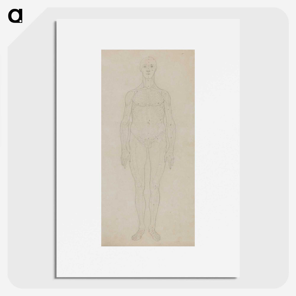 2-71_George-Stubbs_picture