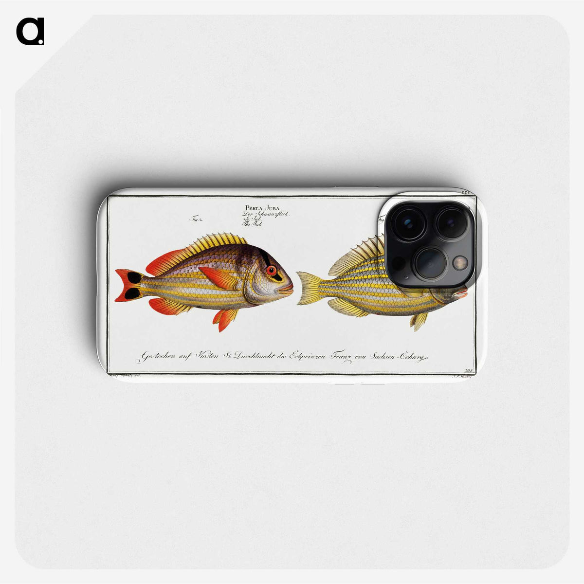 2-71_Ichtyologie-ou-Histoire-naturelle_phone
