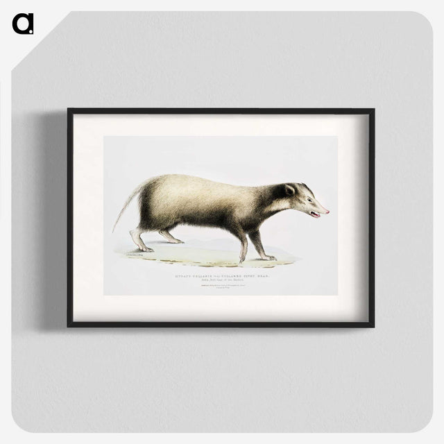2-71_Indian-Zoology_blk