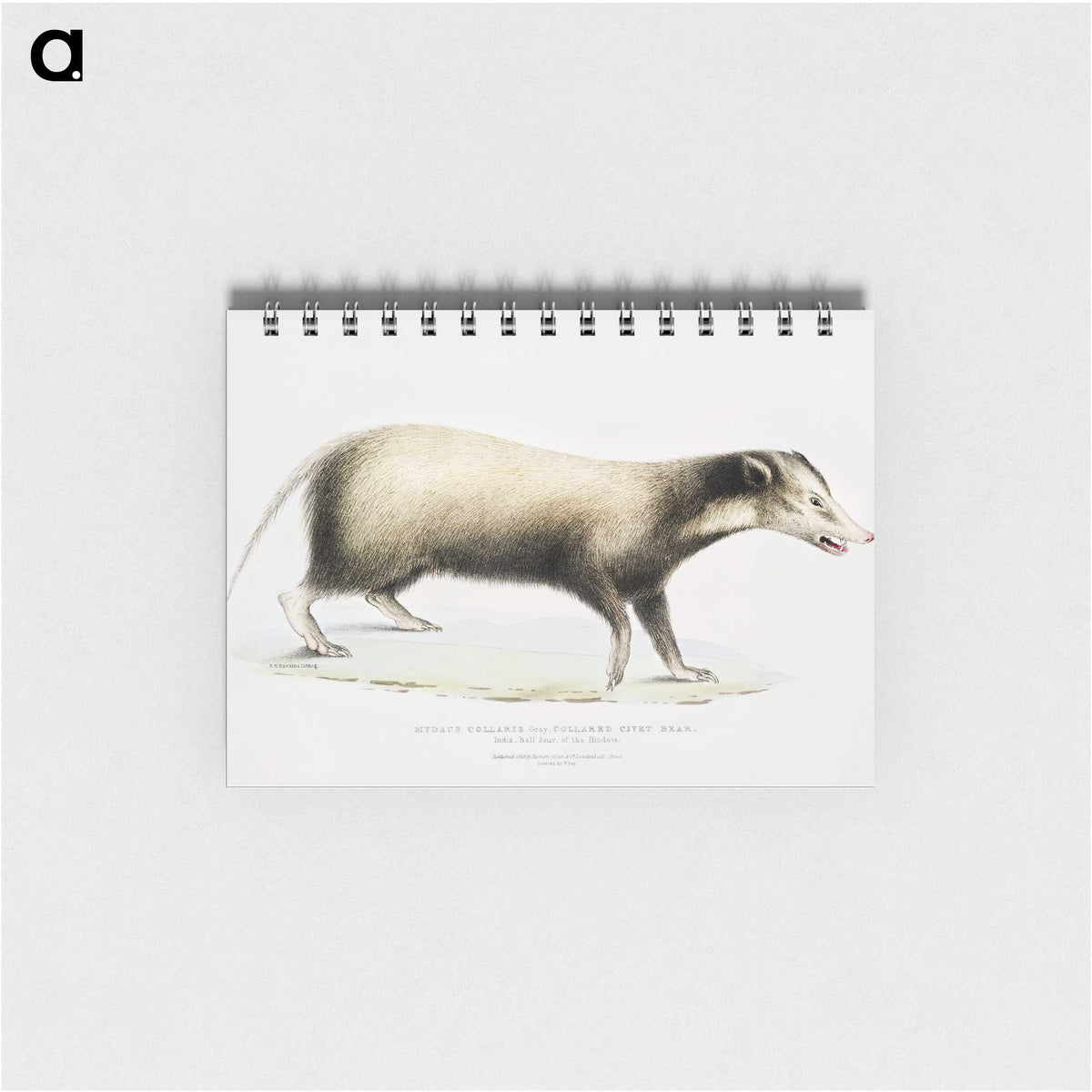2-71_Indian-Zoology_memo