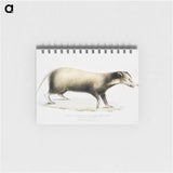 2-71_Indian-Zoology_memo