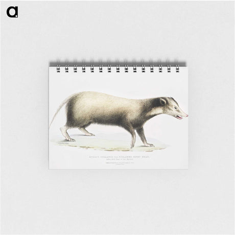 2-71_Indian-Zoology_memo