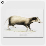 2-71_Indian-Zoology_picture-crop