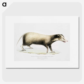 2-71_Indian-Zoology_picture