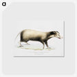 2-71_Indian-Zoology_postcard