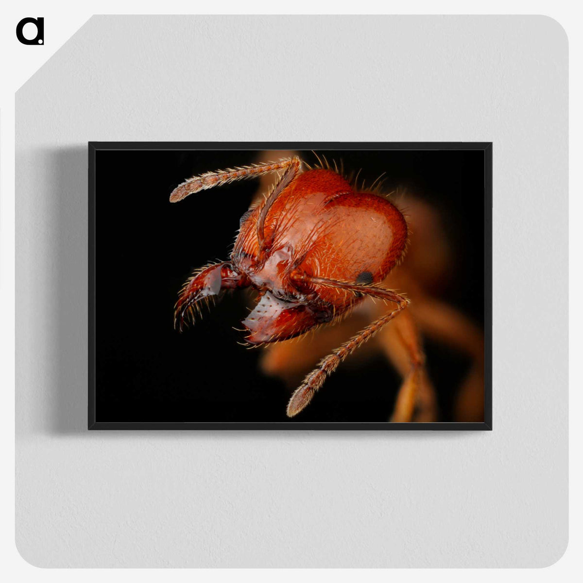 2-71_Insects-Unlocked-Project_blk-crop