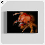 2-71_Insects-Unlocked-Project_blk-crop