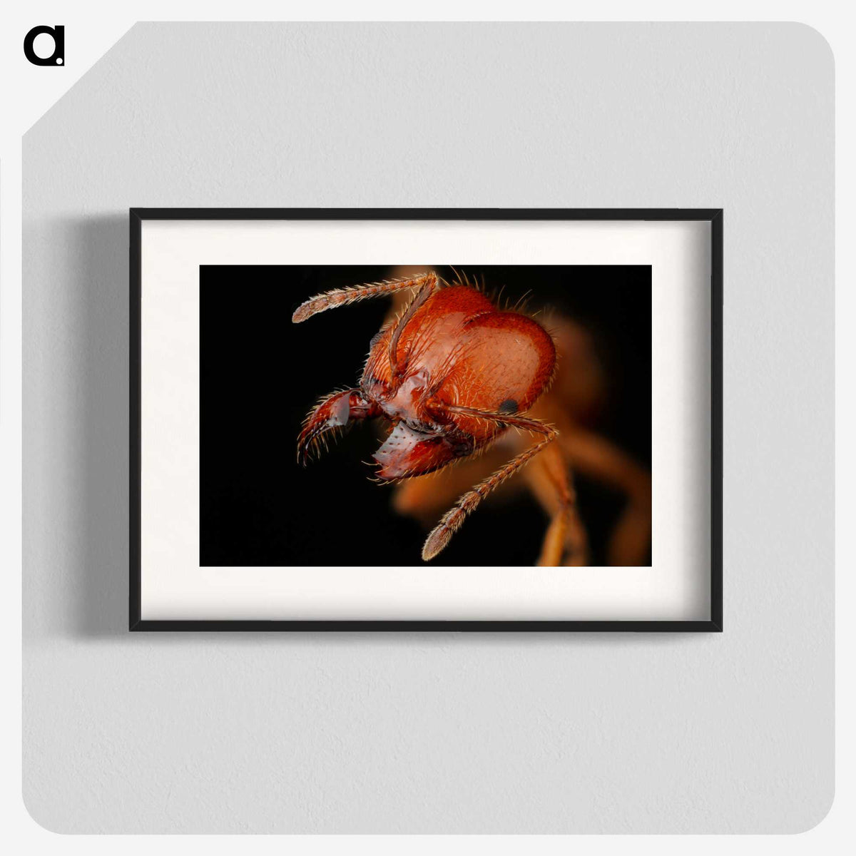 2-71_Insects-Unlocked-Project_blk