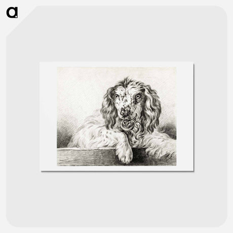 アートポストカード-Dog - ジャン ベルナール Postcard.
