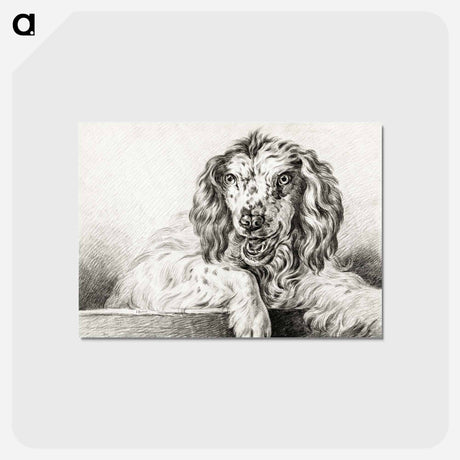 アートポストカード-Dog - ジャン ベルナール Postcard.