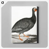 2-71_Johan-Teyler_canvas