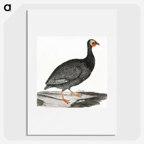 2-71_Johan-Teyler_picture