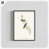 2-71_John-Gould_blk-crop