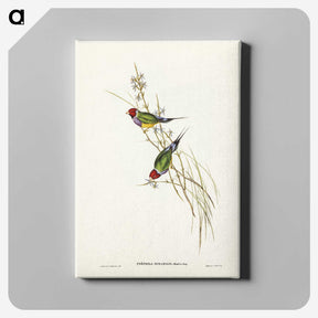 2-71_John-Gould_canvas