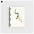 2-71_John-Gould_memo