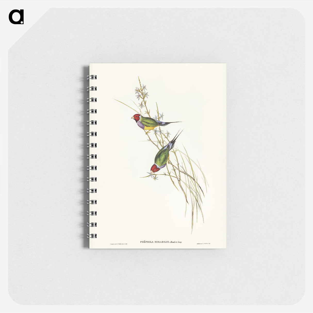 2-71_John-Gould_memo