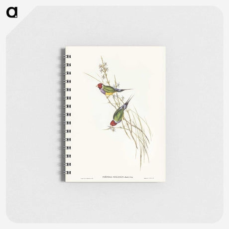 2-71_John-Gould_memo