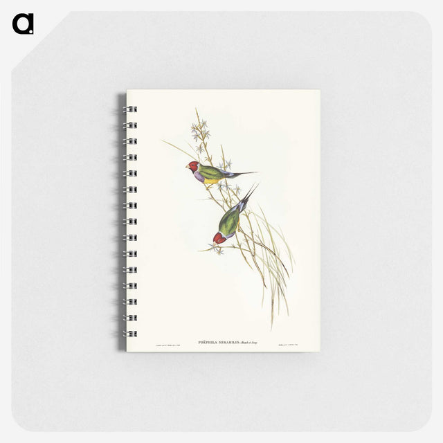 2-71_John-Gould_memo