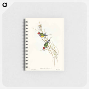 アートメモ帳-Beautiful Grass Finch
 - ジョン グールド Memo.