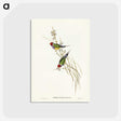 2-71_John-Gould_postcard