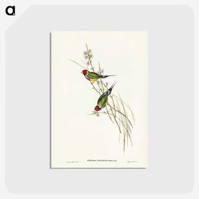 2-71_John-Gould_postcard