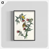 2-71_John-James-Audubon_blk-crop