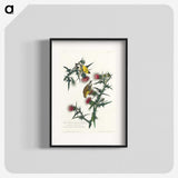 2-71_John-James-Audubon_blk