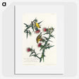 2-71_John-James-Audubon_picture