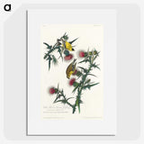 2-71_John-James-Audubon_picture