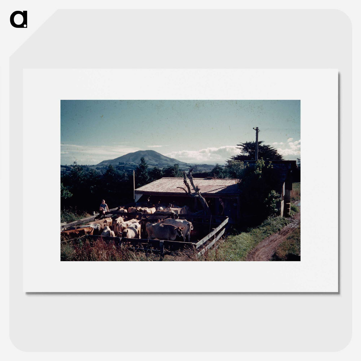 2-71_Leslie-Adkin_picture