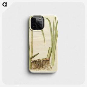 2-71_Maria-Sibylla-Merian_phone