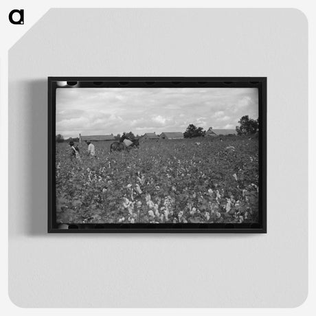 2-71_Marion-Post-Wolcott_blk-crop