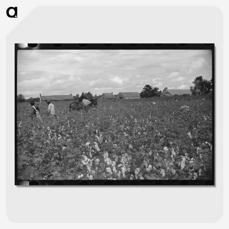 2-71_Marion-Post-Wolcott_picture-crop
