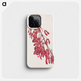 2-71_Mary-Vaux-Walcott_phone