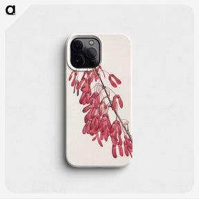 2-71_Mary-Vaux-Walcott_phone