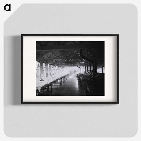 2-71_National-Library-of-Medicine_blk
