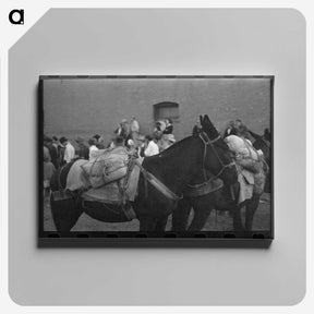 2-71_Russell-Lee_canvas