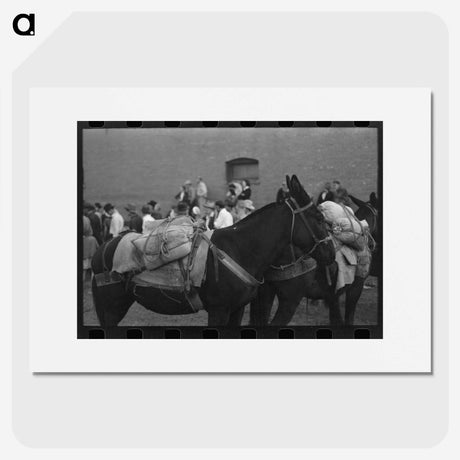2-71_Russell-Lee_picture