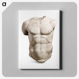 2-71_Saint-Louis-Art-Museum_canvas