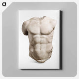アートパネル-Torso of an Athlete
 - セントルイス美術館 Canvas.