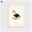 2-71_Svenska-Faglar_postcard