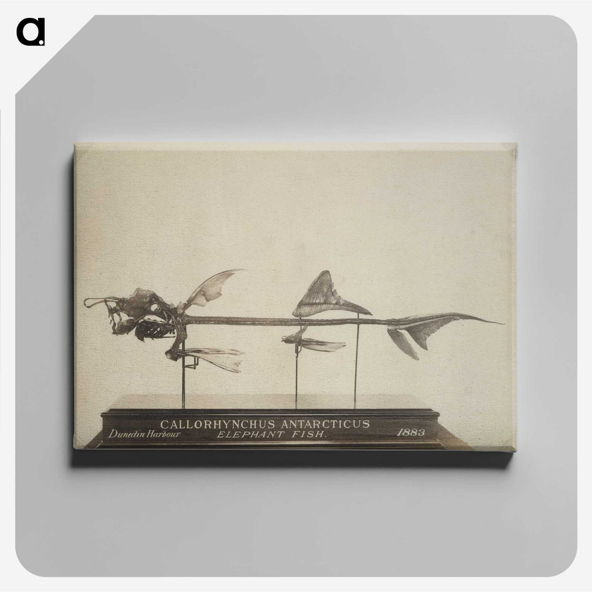 2-71_The-Burton-Brothers_canvas