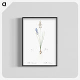 2-71_The-Lilies_blk-crop