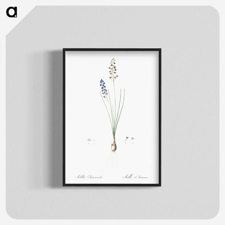 2-71_The-Lilies_blk-crop