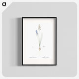 2-71_The-Lilies_blk