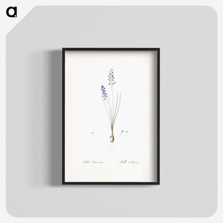 2-71_The-Lilies_blk