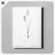 2-71_The-Lilies_canvas